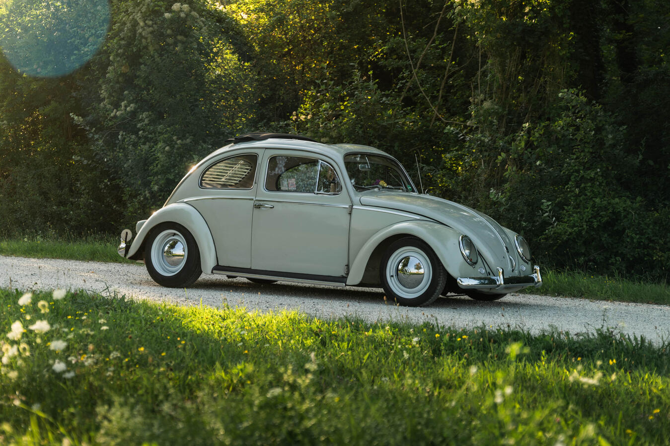 Eine echte Oldtimer Ikone VW Käfer 1960 in klassischer Seitenansicht